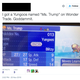 Illustration for article titled iPokemon Sun and Moon/is Wonder Trade Is Full of Monsters Named Donald Trumpem/em